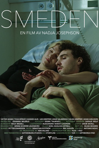 SMEDEN movie poster