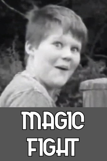 Magic Fight movie poster