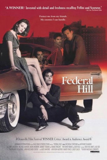 Federal Hill movie poster