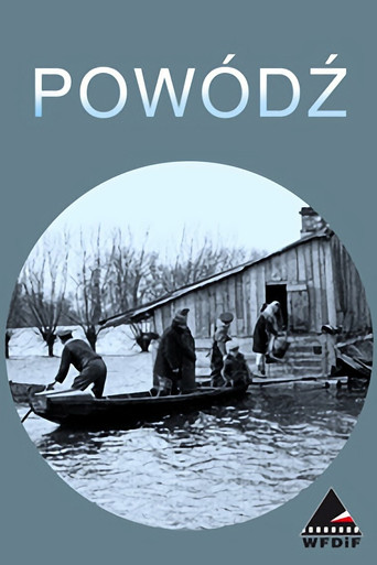 Storm in Poland movie poster