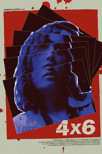 4x6 movie poster