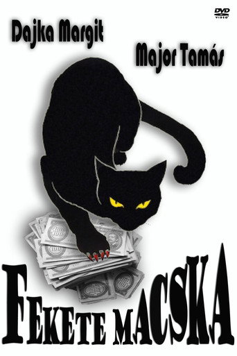 Fekete macska movie poster