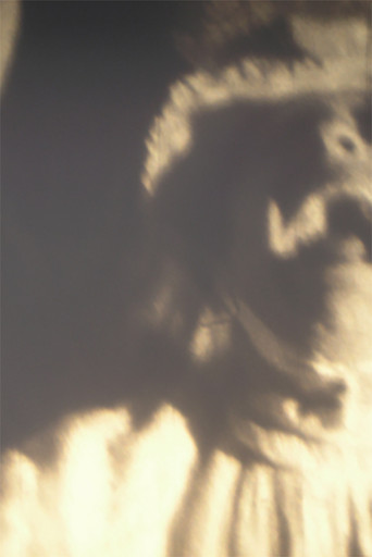 Overstimulated movie poster