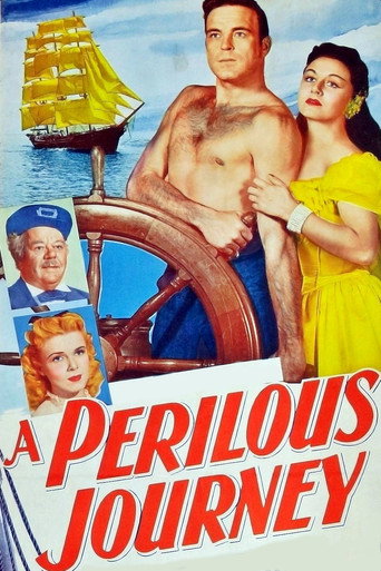 A Perilous Journey movie poster