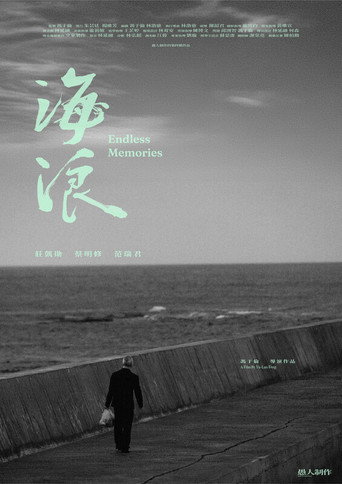Endless Memories movie poster