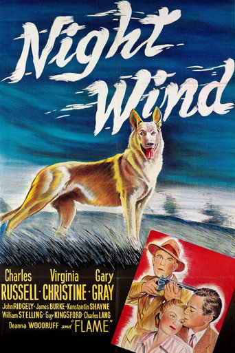 Night Wind movie poster