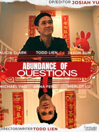 Abundance of Questions movie poster