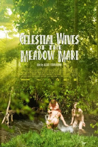 Celestial Wives of the Meadow Mari movie poster