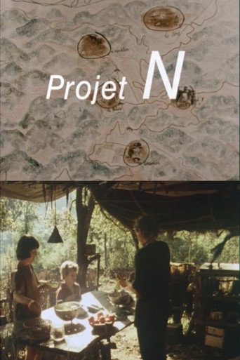 Projet N movie poster