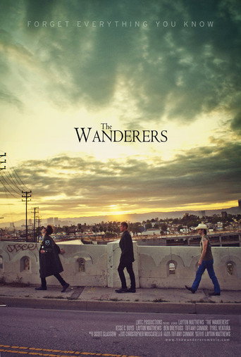 The Wanderers movie poster