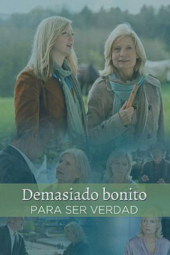 Zu schön um wahr zu sein movie poster