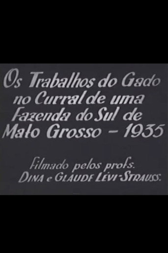 Cattle Work in the Corral of a Farm in Southern Mato Grosso movie poster