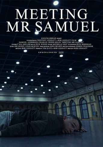 Meeting Mr Samuel movie poster