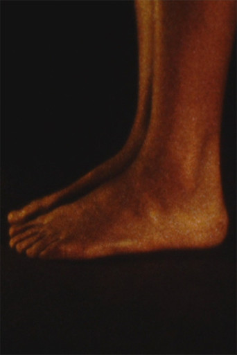 Voeten movie poster