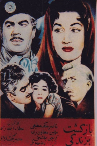 Returning to Life movie poster