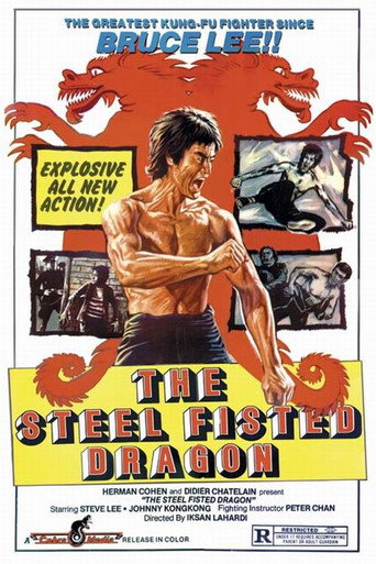 The Steel Fisted Dragon movie poster