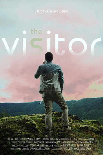 The Visitor movie poster