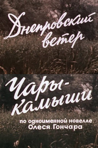 The Dnipro Wind. Enchanted Reeds movie poster