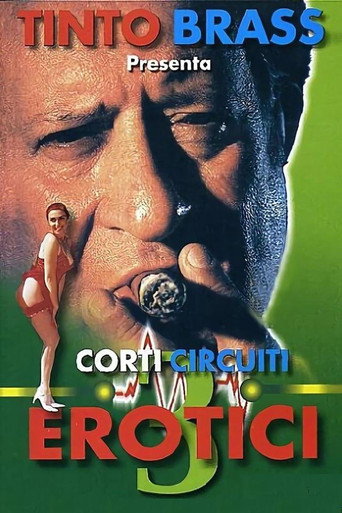 Erotic Short Circuits Vol.3 movie poster
