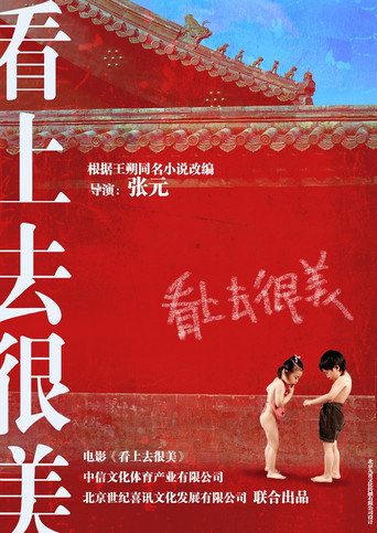 看上去很美 制作特辑 movie poster