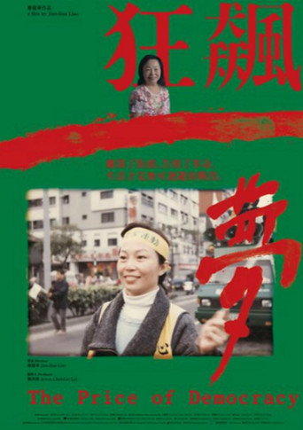 The Price of Democracy movie poster
