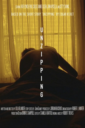 Unzipping movie poster