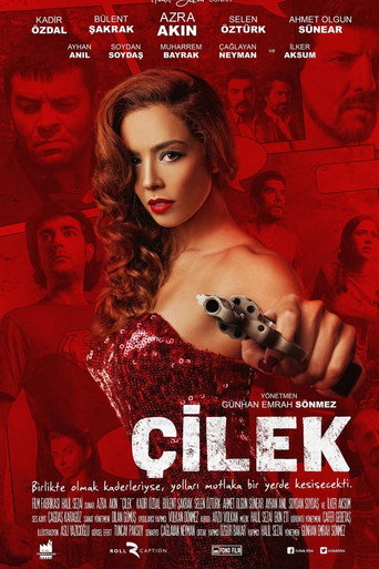 Çilek movie poster