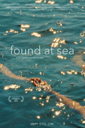 Found at sea movie poster