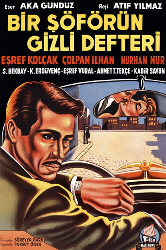 A driver's secret notebook movie poster