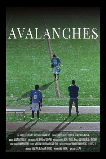 Avalanches movie poster