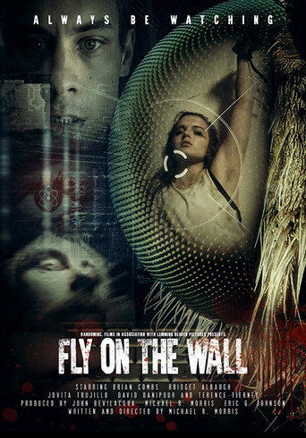 Fly on the Wall movie poster