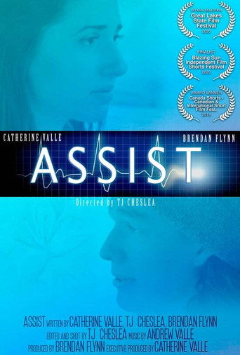 Assist movie poster