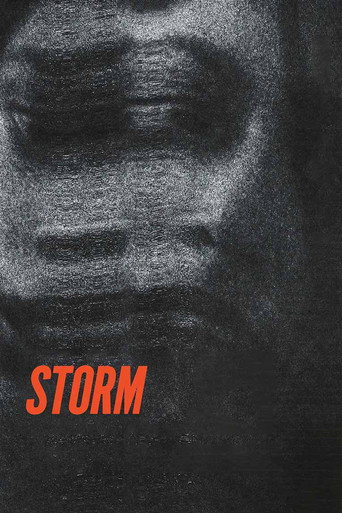 Storm movie poster