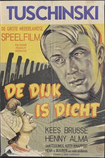The Dike Is Sealed movie poster