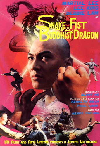 Snake Fist of the Buddhist Dragon movie poster