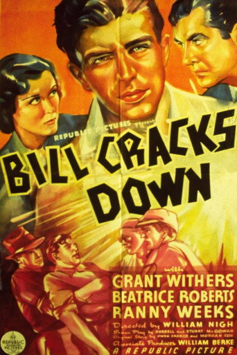 Bill Cracks Down movie poster