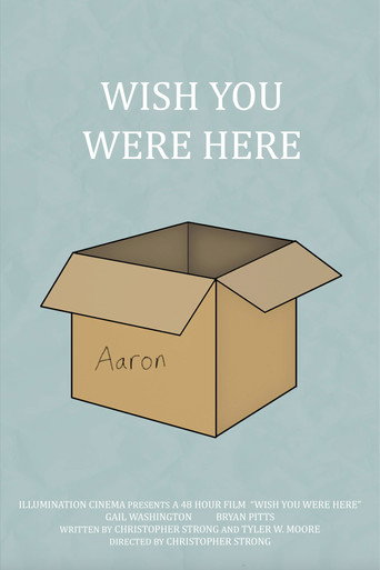 Wish You Were Here movie poster