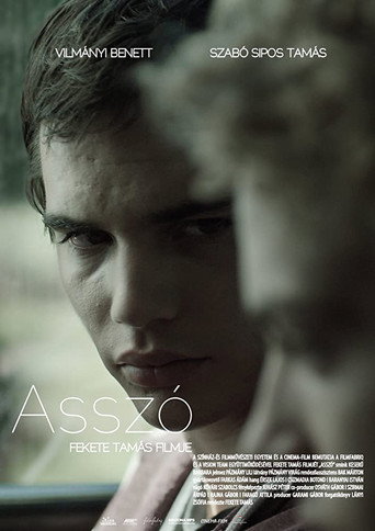 Assaut movie poster