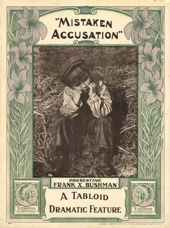 A Mistaken Accusation movie poster