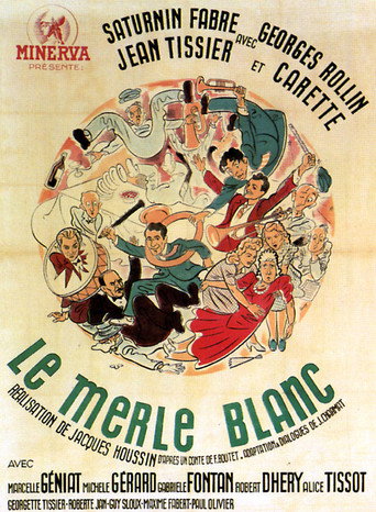 The White Blackbird movie poster