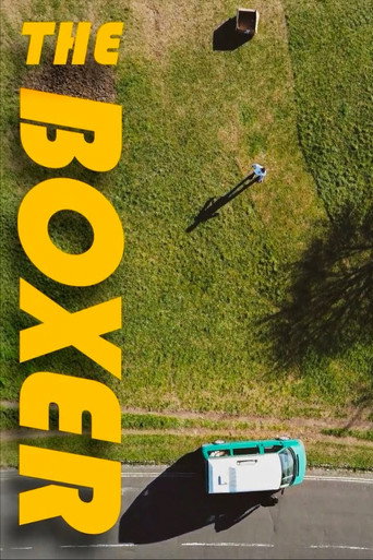 The Boxer movie poster