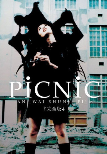 Picnic movie poster