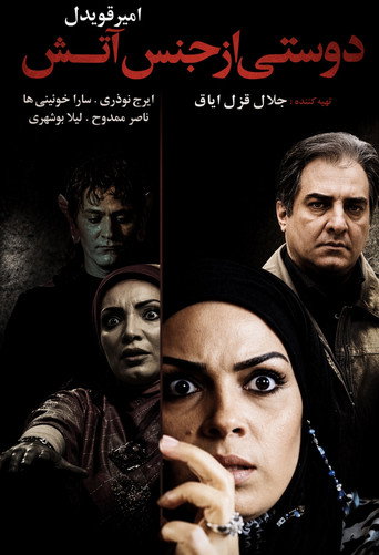 A Friend Made of Fire movie poster