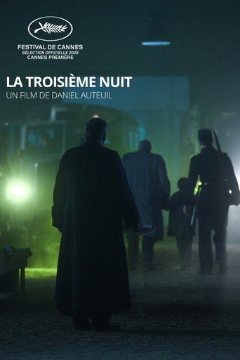 When the Night Falls movie poster