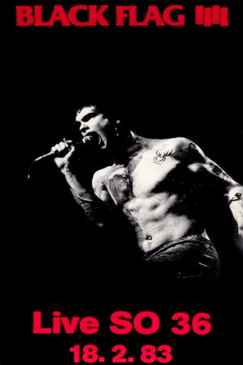 BLACK FLAG Live in Berlin movie poster