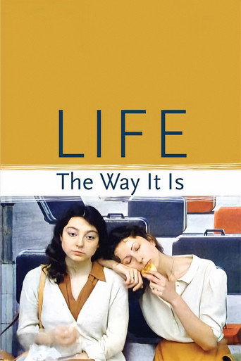 Life the Way It Is movie poster