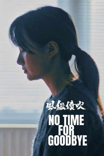 No Time For Goodbye movie poster