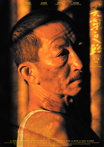 Betel Palms movie poster