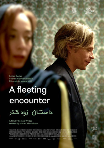 A temporary story movie poster