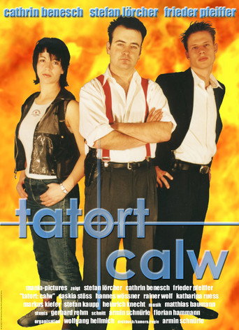 Tatort Calw - Tödliche Rache movie poster